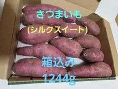 さつまいも(シルクスイート)　箱込み　1244g