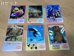 3枚セット】鳥羽水族館コレクションカード vol.1 - メルカリ