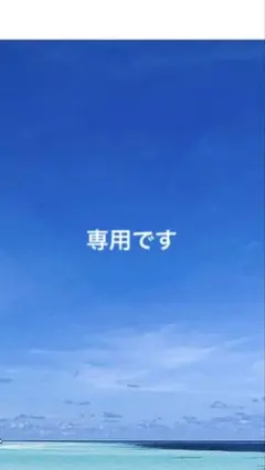 リバティ　ハギレ