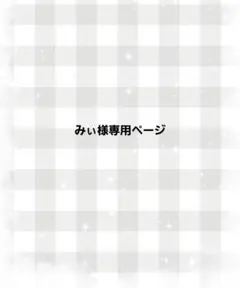 みぃ様専用ページ