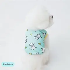 韓国 BITE ME ハローキティ コラボ ペット用服 Sサイズ - メルカリ
