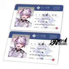にじさんじ すぷれあ HalfAnniversary チェキ風カード 城瀬いすみ