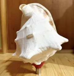 Quick Quickさん専用】鳥取県産 砂丘らっきょう L5kg - メルカリ