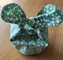 Item thumbnail for item 0b2ba621-dcff-4908-b895-5348ac40d406