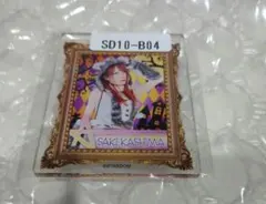 スターダム　鹿島沙希　アクリルカード　ハロウィン