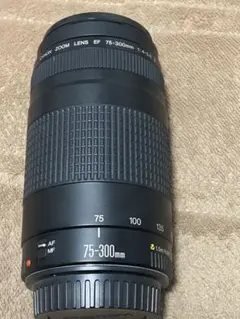 Item thumbnail for item b3f91f77-c9df-40ac-9cbb-505692d5ee7c