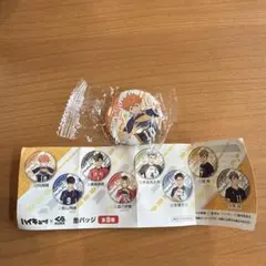 くら寿司 ハイキュー 日向翔陽 缶バッジ
