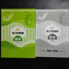 【最新版】 新品 新小学問題集 国語 小6 解答付