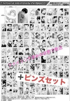 ハイキュー!! 10thクロニクル フォトカード 全種 ピンバッジ付き