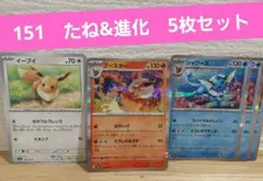151 ポケモンカード　イーブイ　ブースター　シャワーズ　5枚セット