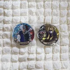 ヒロアカ 轟焦凍 オールマイト 缶バッジ 十傑