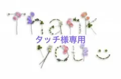 タッチ様専用　梅干し中粒500g