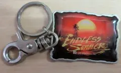 B'z LIVE-GYM Pleasure 2013 キーホルダー