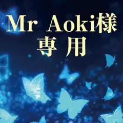 Mr Aoki様　専用
