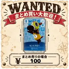 セントアロー　amiibo あつ森　アミーボカード