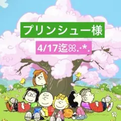 プリンシュー様 専用ページ