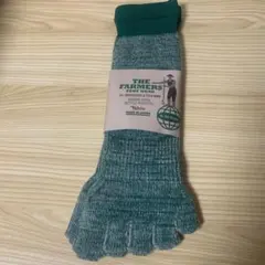 Item thumbnail for item 3672fdc0-3dee-4115-a976-fd2a0ec62c35