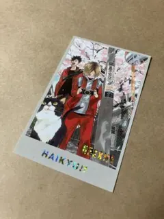 ハイキュー メモリアルコレクション 音駒 研磨 黒尾　春の猫