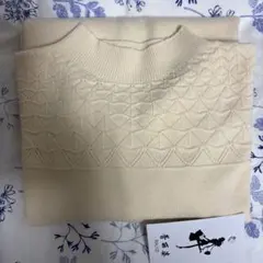 Item thumbnail for item 61bbf064-7b72-479a-bae2-e701582ee9b5