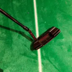 Item thumbnail for item b7932e34-f85e-4644-ac30-07d37b839a79