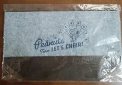 スヌーピー フェルトバッグ トートバッグ ランチバッグ エコバッグ