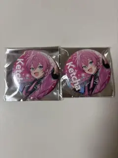 けちゃくん すとふぇす 缶バッジ