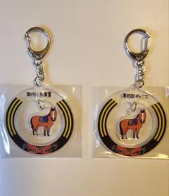 2025年最新】JRAノベルティの人気アイテム - メルカリ