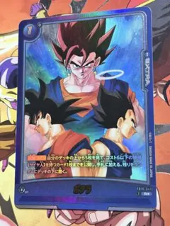 ポタラ R パラレル FB10-047 ビジュアルパラレル ビジュパラ - メルカリ