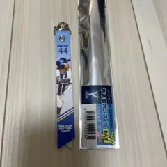 横浜ベイスターズ BAY BLUE FESTIVAL 石上選手　ボンフィン