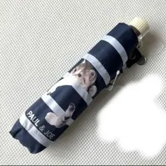 ポールアンドジョー　おりたたみ傘　晴雨兼用　ボーダー　ネコ