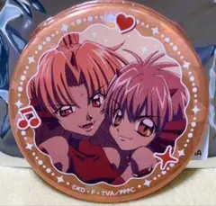 ぴちぴちピッチ ホログラム 缶バッジ 放課後 シェシェ ミミ