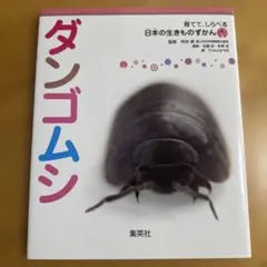 ダンゴムシ