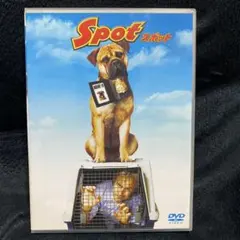 スポット('01米)〈2003年5月23日までの期間限定出荷〉