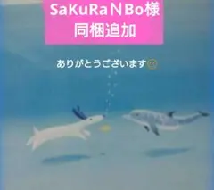 sakuranbo様専用