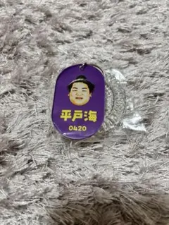 Item thumbnail for item aad4d641-f6ed-4170-9d09-57110f3ba67e