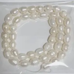 9100 淡水パール