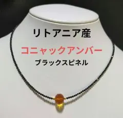 天然琥珀（アンバー）× ブラックスピネル デザインネックレス