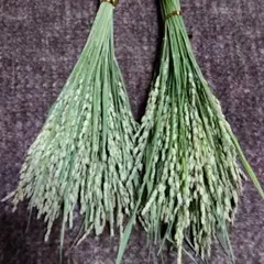 おはなや様 リクエスト 2点 まとめ商品