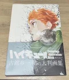 ハイキュー‼︎ 画集 クリアファイル