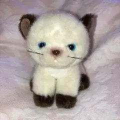 TAKENOKO お座りシェリー シャムねこ　プチ•シェリー ぬいぐるみ