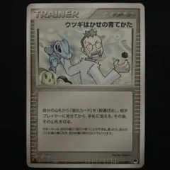 ポケモンカード ウツギはかせの育てかた 014/024のサムネイル