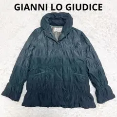 【GIANNI LO GIUDICE】ダウン(40) グラデーション　フェザーのサムネイル