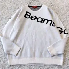 BEAMS GOLF ウール100% バイカラー タートルネック ニット 紺 S - メルカリ