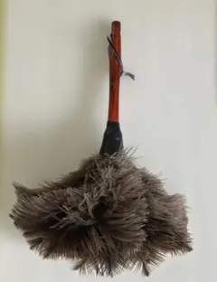 스칸디나비아 잡화점에서 구매한 천연 타조 깃털 살포기
