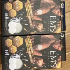 【新品未開封】どこでもEMSエクササイズ 2個セット