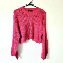 【EMODA】クロップド丈 メッシュニット 透かし編み ピンク 春 夏 ショート