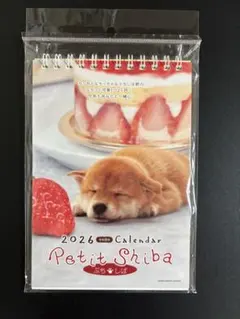 子犬Petit Shiba ぷちしば 卓上カレンダー2026のサムネイル