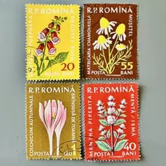 みかんちゃん(^-^)様 リクエスト 3点 まとめ商品