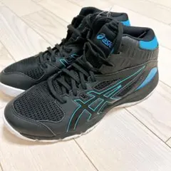 新品 ASICS アシックス ダンクショット　バスケットシューズ　25cm