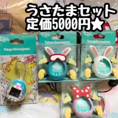 東京 ディズニー リゾート ポケット うさたま ケース 4点セット